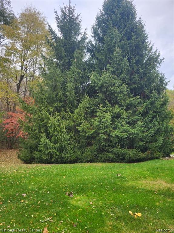 5028 Clintonville Pines Drive, Clarkston, MI — Photo 4