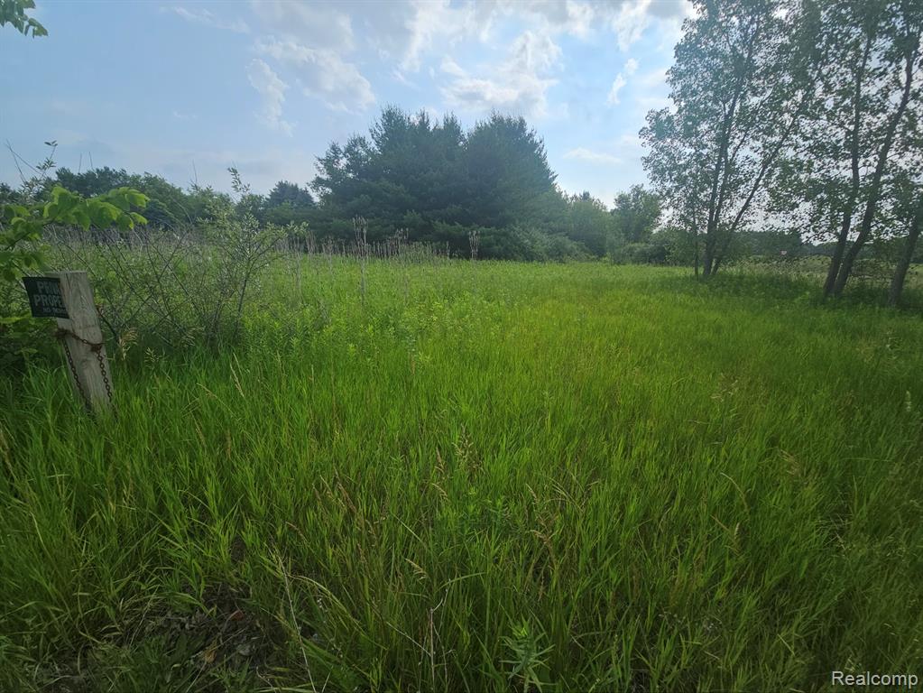 VL Millville Road, Lapeer, MI 48446 — Photo 5