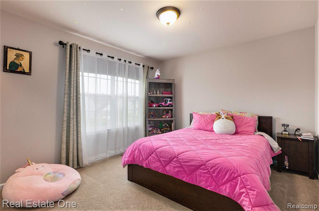 28406 OAKMONTE Circle E, New Hudson, MI 48165 — Photo 14