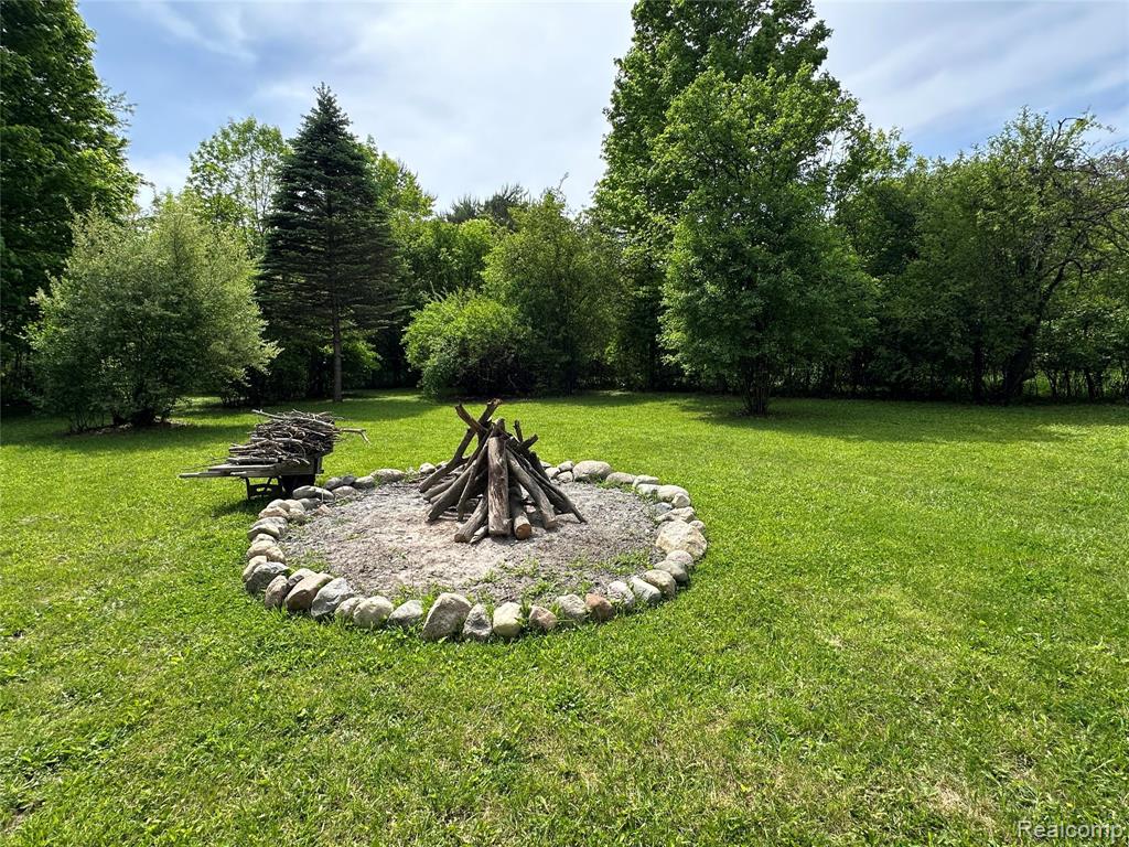 6161 River Road, Flushing, MI 48433 — Photo 20