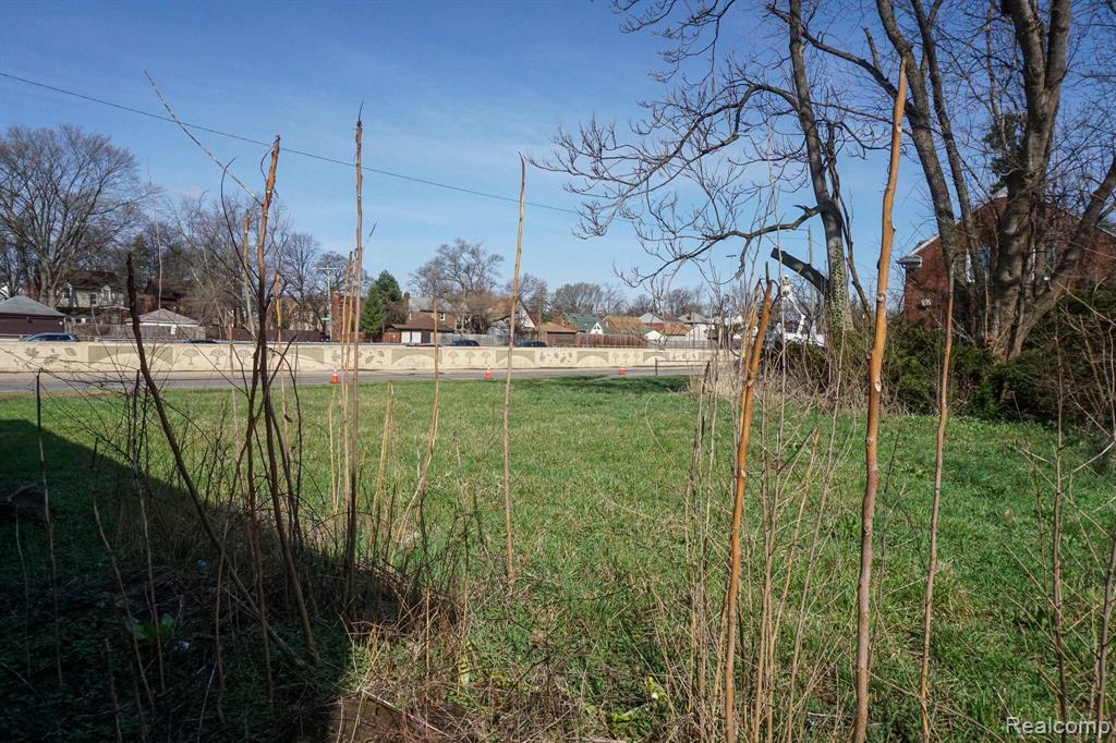14630 SOUTHFIELD, Detroit, MI 48223 — Photo 4