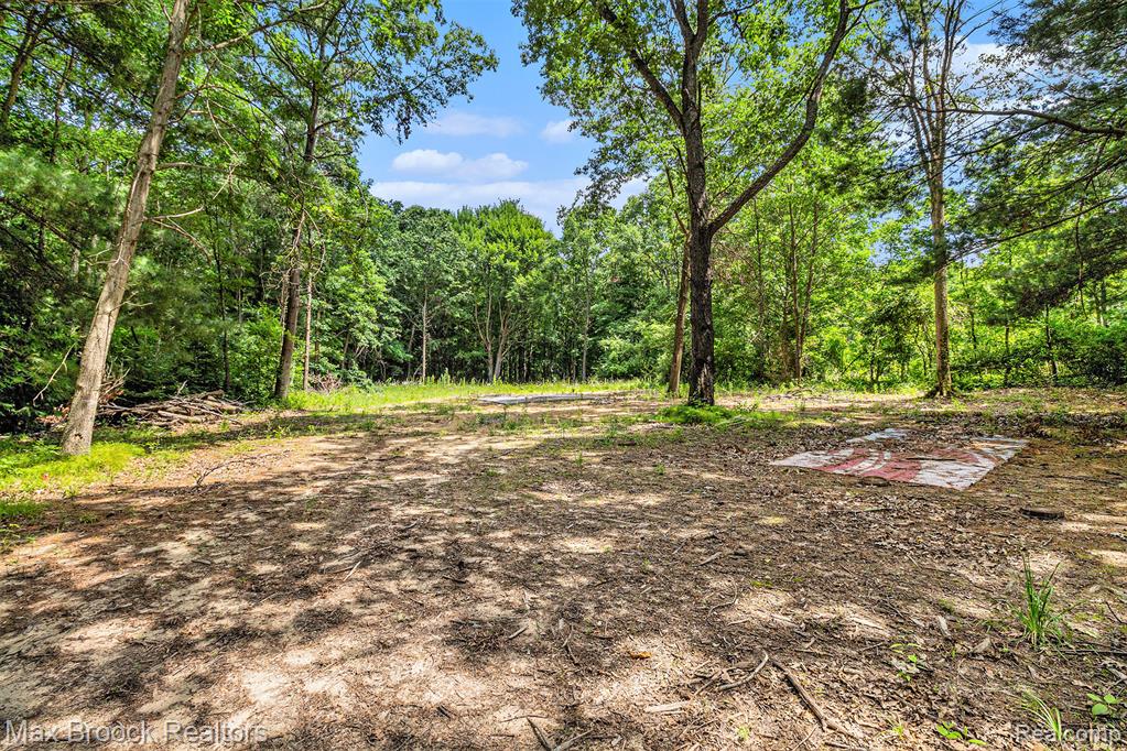 7132 N Oak Road, Davison, MI 48423 — Photo 9