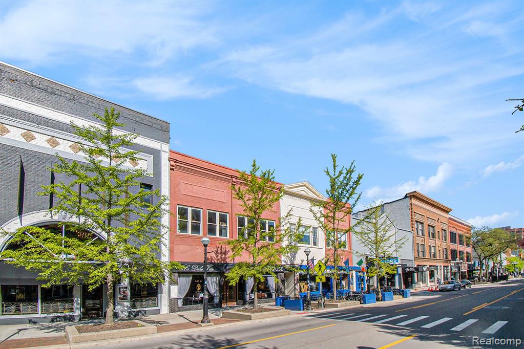 101 W Liberty Street, 320, Ann Arbor, MI 48104 — Photo 4