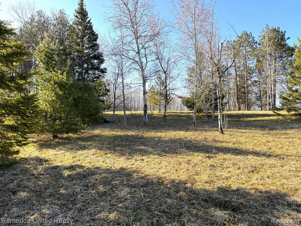 4052 S RIVER Road, Cheboygan, MI 49721 — Photo 12