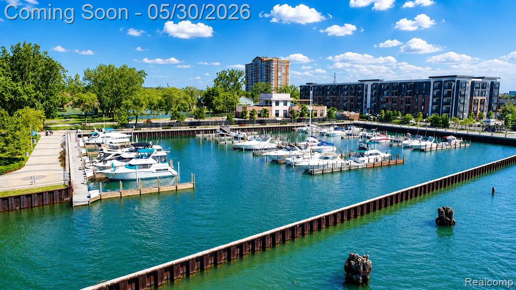 250 E Harbortown Drive, 205, Detroit, MI 48207 — Photo 38