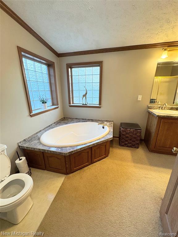 11197 Bigelow Road, Davisburg, MI 48350 — Photo 40