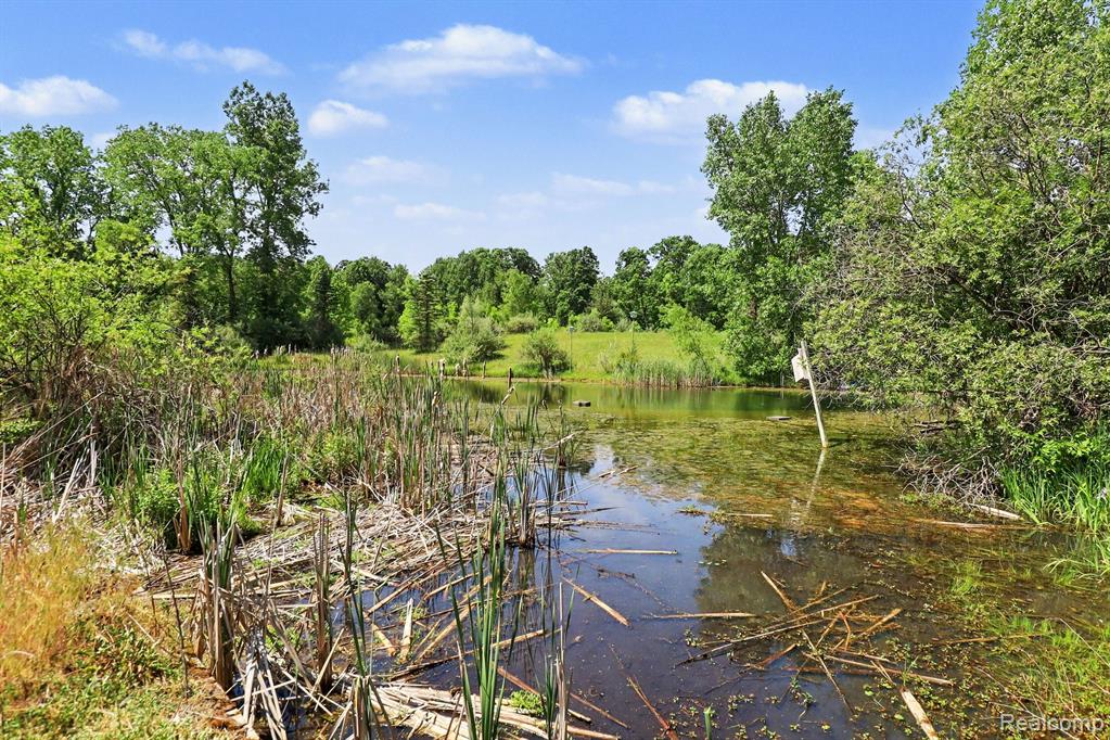 16400 Easudes Road, Grass Lake, MI 49240 — Photo 77
