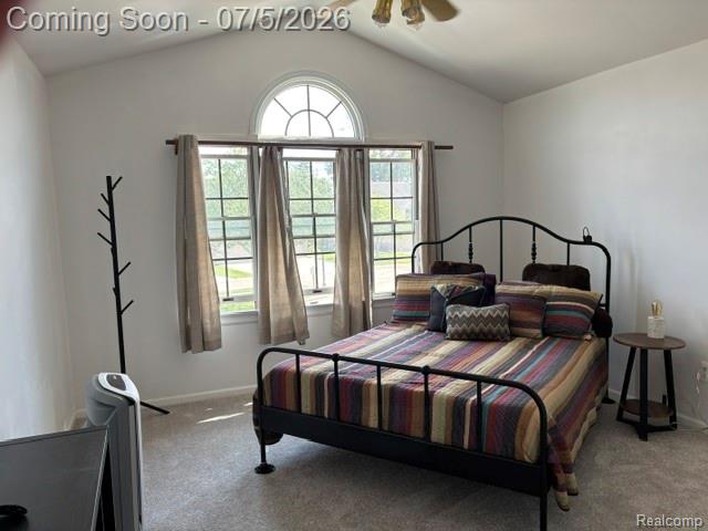45125 Horseshoe Circle, 52, Canton, MI 48187 — Photo 27