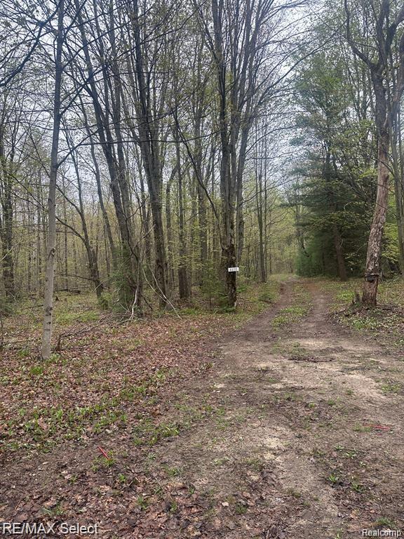 4610 SANMOTT Trail NE, Kalkaska, MI 49646 — Photo 2