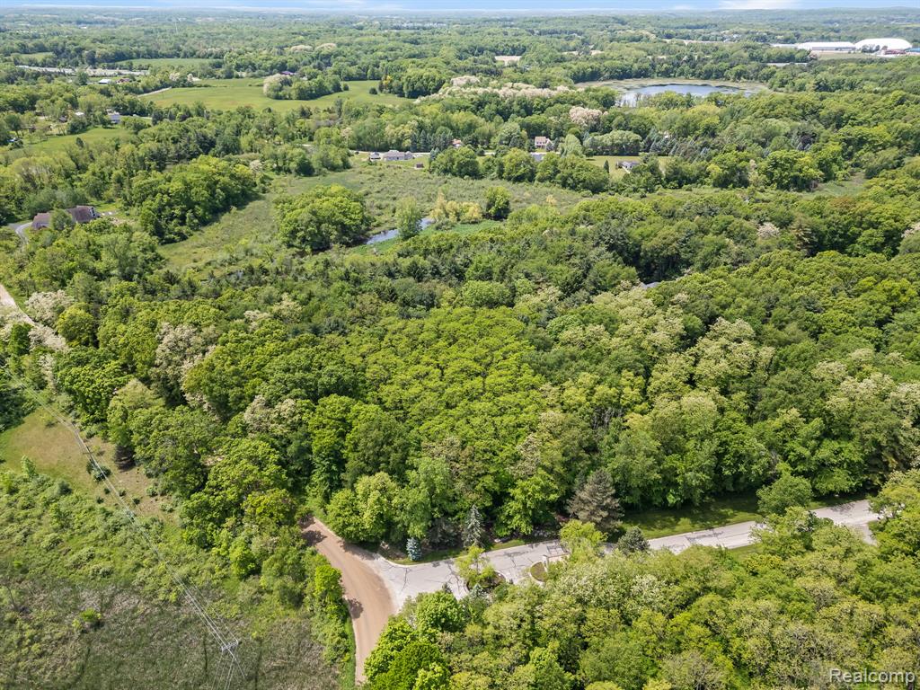 9970 S CROSS CREEK Drive W, South Lyon, MI 48178 — Photo 4