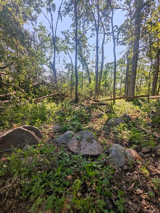 Parcel A - Rolston Road, Linden, MI 48451 — Photo 9