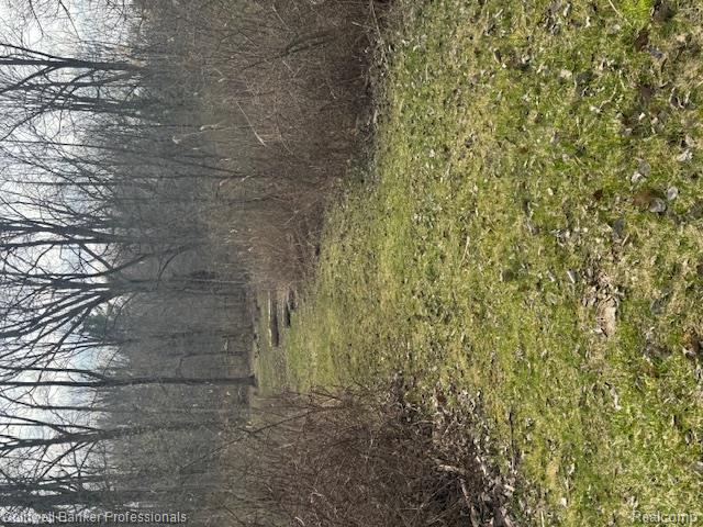 VL Rattle Run Road, St. Clair, MI 48079 — Photo 43