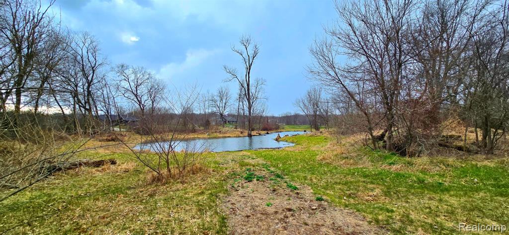 9860 Iosco Ridge Drive, Gregory, MI 48137 — Photo 4