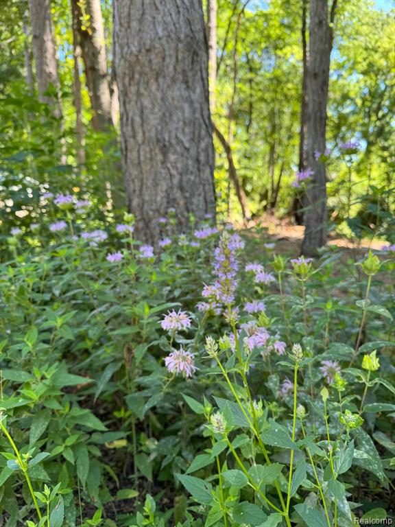 1827 HIGH HOLLOW Drive, Ann Arbor, MI 48103 — Photo 79