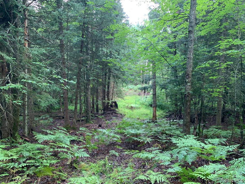 433 Lund Road SW, Fife Lake, MI 49633 — Photo 20