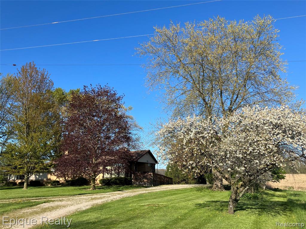 5426 Wildcat Road, Clyde, MI 48049 — Photo 28