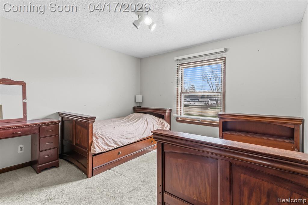 3432 S State Road, Davison, MI 48423 — Photo 24