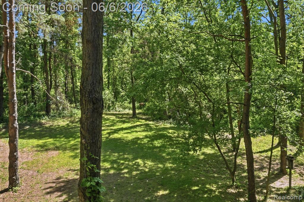 356 Avanti Lane, Highland, MI — Photo 54