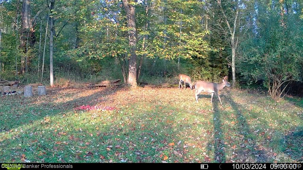 VL Rattle Run Road, St. Clair, MI 48079 — Photo 25