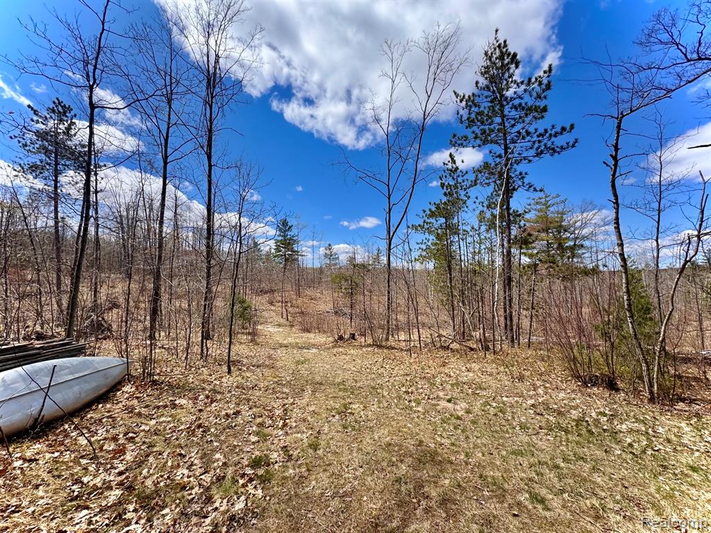 10931 ROBERTS RD N, Frederic, MI 49733 — Photo 28
