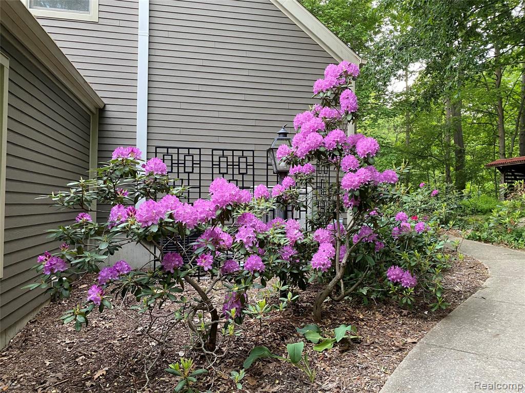 4223 Vanneter Road, Williamston, MI 48895 — Photo 6