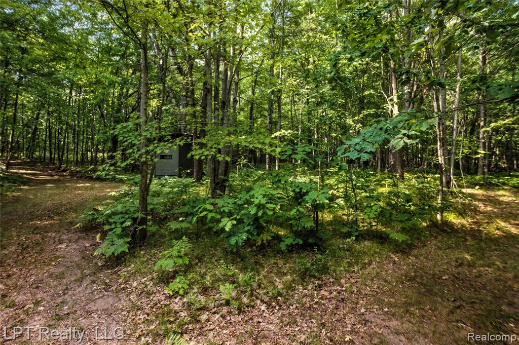 5595 Bringold Avenue, Lincoln, MI 48632 — Photo 4
