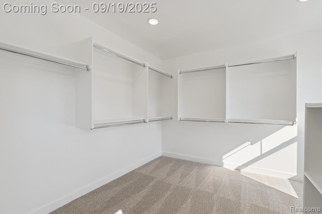 16368 Shadow Lane, Linden, MI 48451 — Photo 21