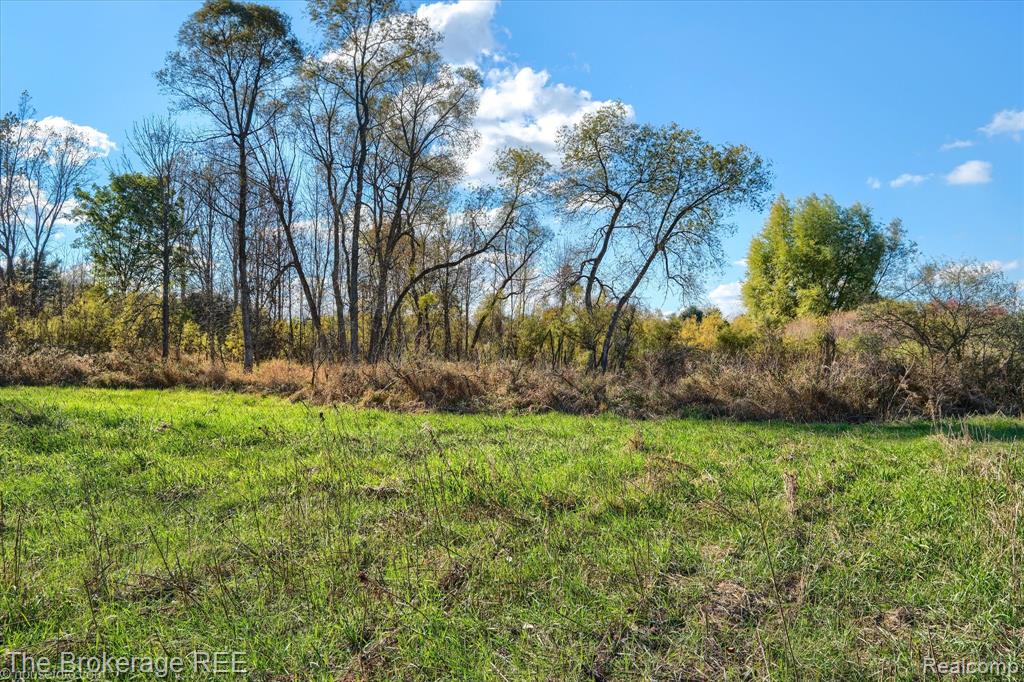 VL Janna Leigh Drive, Otter Lake, MI 48464 — Photo 13
