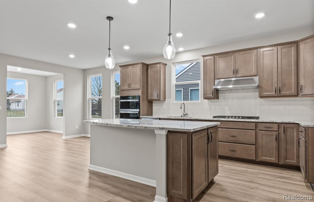 16104 Conifer Lane, Clinton Twp, MI 48038 — Photo 10
