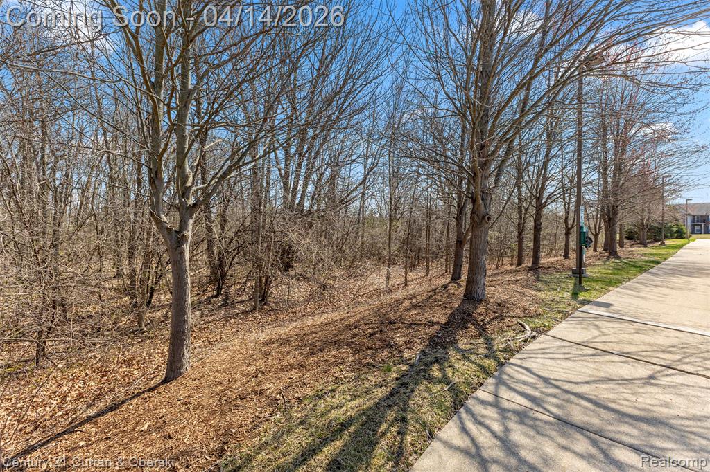 3113 Primrose Lane, Ypsilanti, MI 48197 — Photo 20