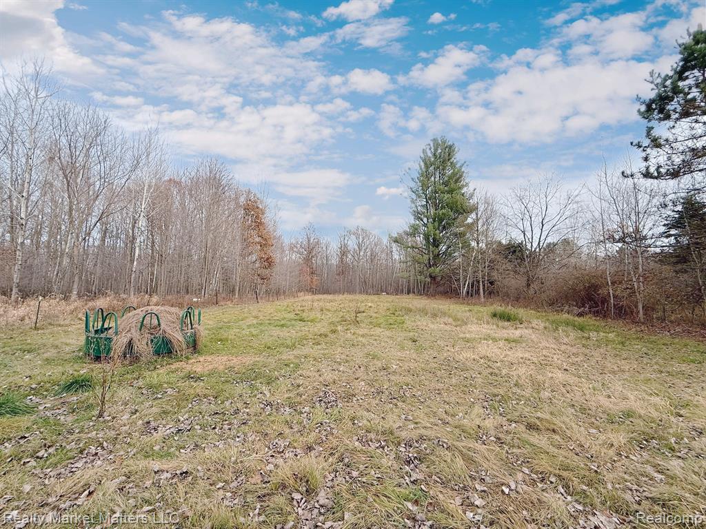 6755 Hess Road, Vassar, MI 48768 — Photo 14