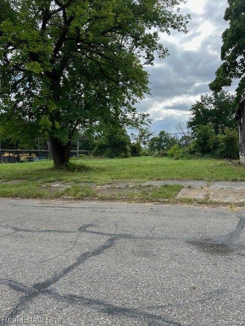 9253 HOLMUR Street, Detroit, MI 48204 — Photo 2