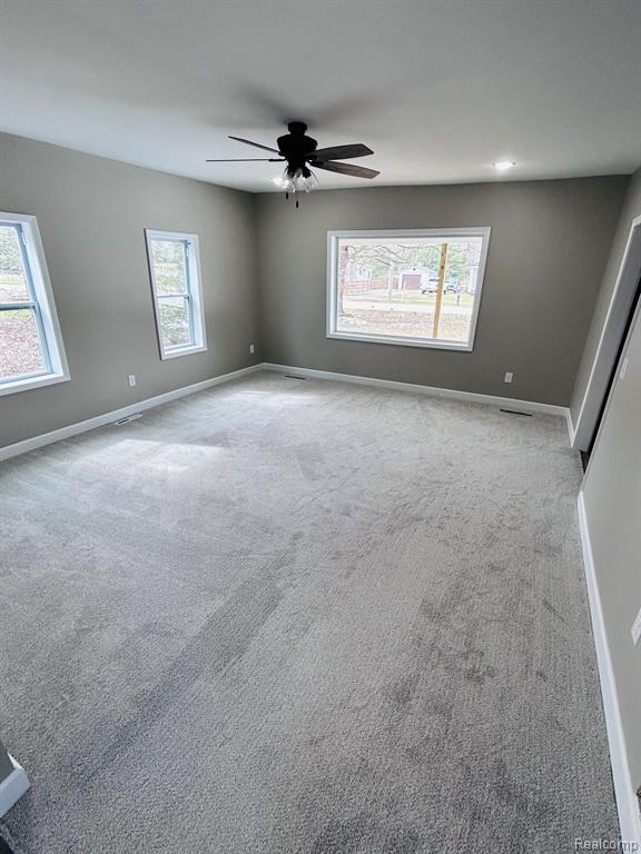 5667 MILL Street, Peck, MI 48466 — Photo 5