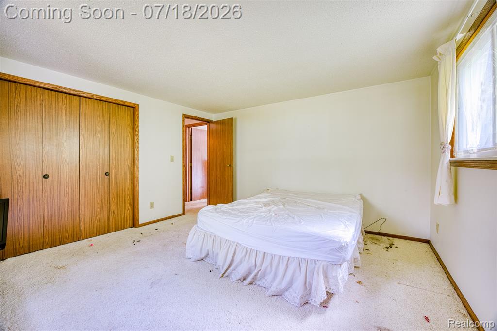 9550 Kies Road, Manchester, MI 48158 — Photo 21