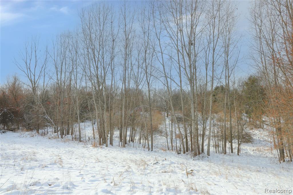 3770 Reese Road, Ortonville, MI 48462 — Photo 16