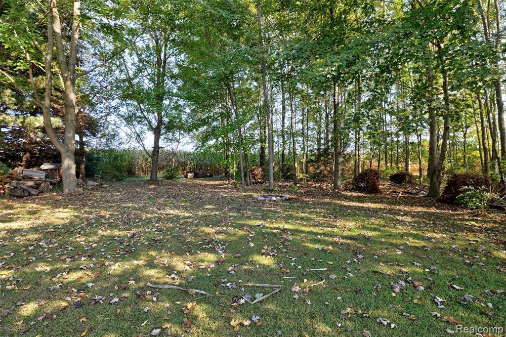 6392 Mitchell Road, Palmyra, MI 49268 — Photo 39