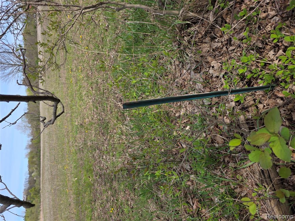 VL Parcel C Peters, Columbiaville, MI 48421 — Photo 11