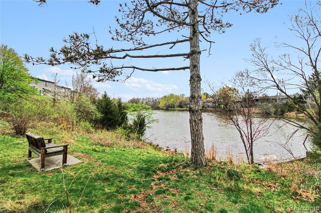 798 Peninsula Court, Ann Arbor, MI 48105 — Photo 17