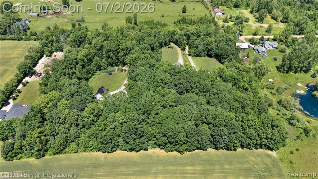 8224 Petz Road, Imlay City, MI 48444 — Photo 30
