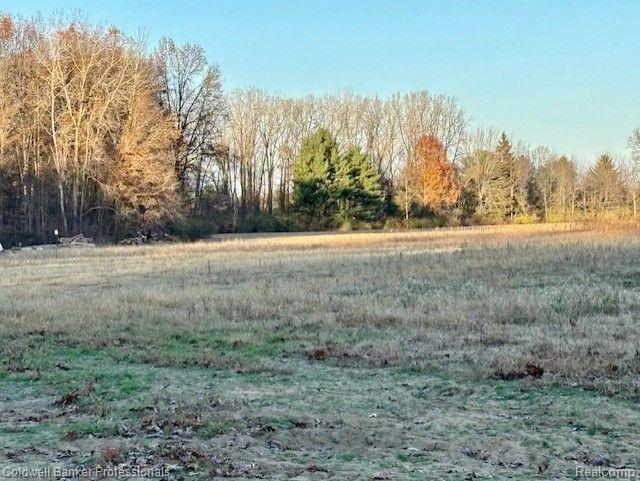 14235 WANTY Road, Milan, MI 48160 — Photo 5