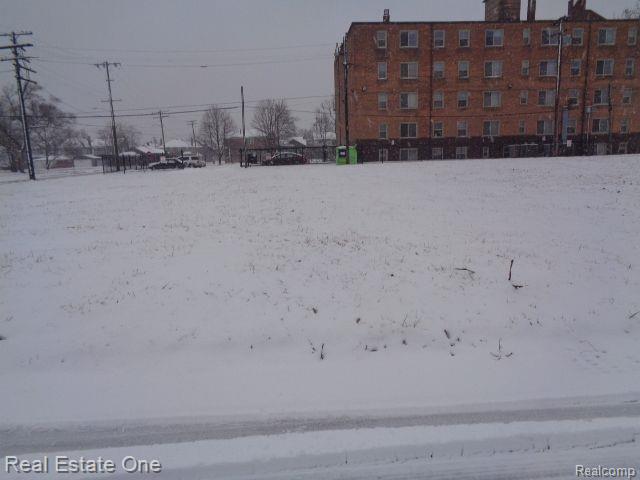 2736 ROCHESTER Street, Detroit, MI 48206 — Photo 13