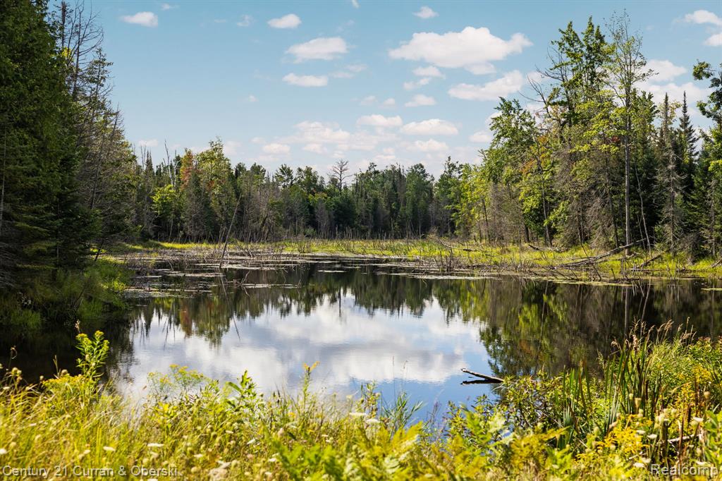 3265 Roost Road - Photo 4