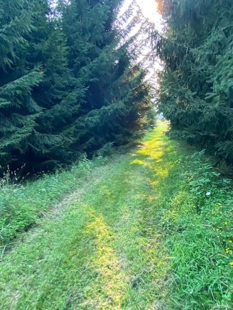 7762 Mason Road, Yale, MI 48097 — Photo 19
