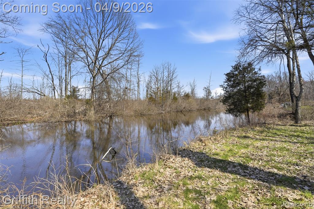 1412 North Court, Brighton, MI 48114 — Photo 44