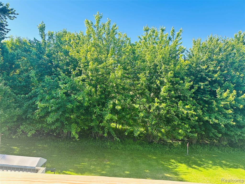11270 Rushton #3 Road, South Lyon, MI 48178 — Photo 6