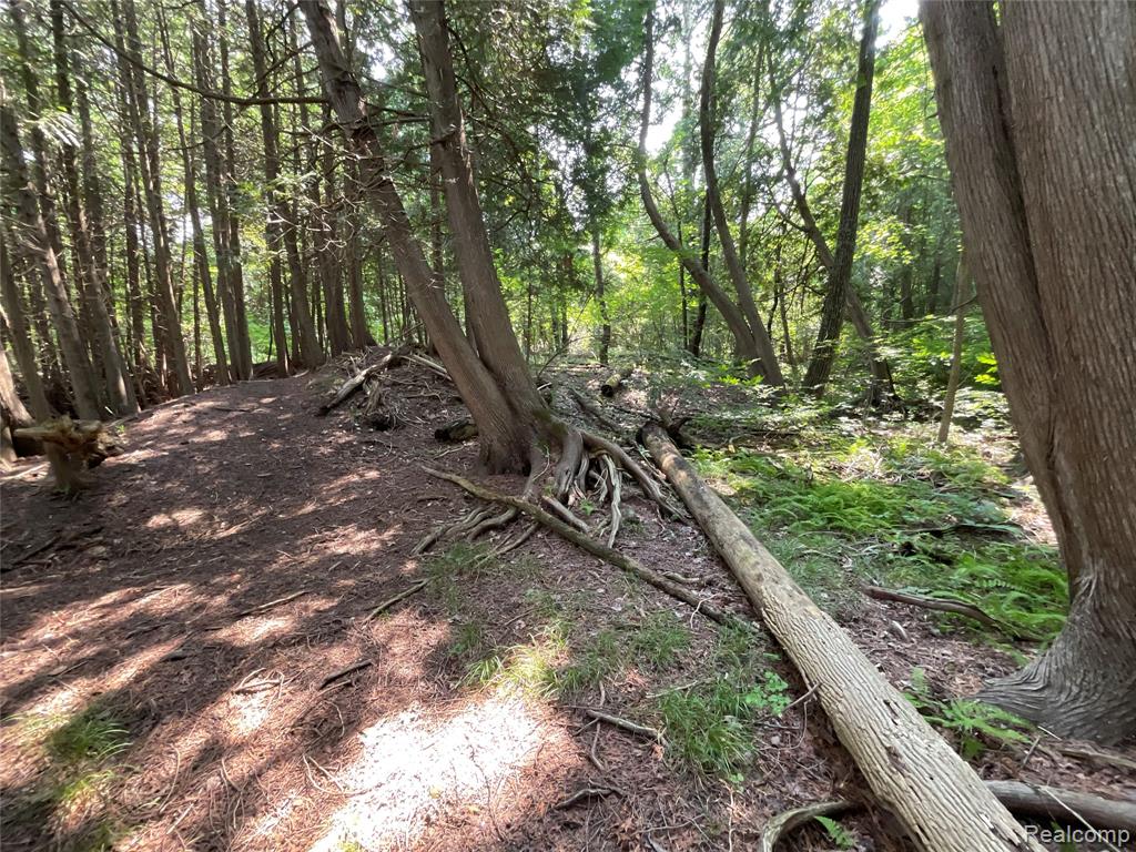 3425 Sutton Road, Dryden, MI 48428 — Photo 52