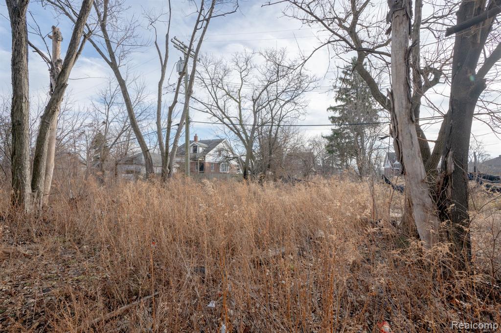 13626 Troester Street, Detroit, MI 48205 — Photo 33