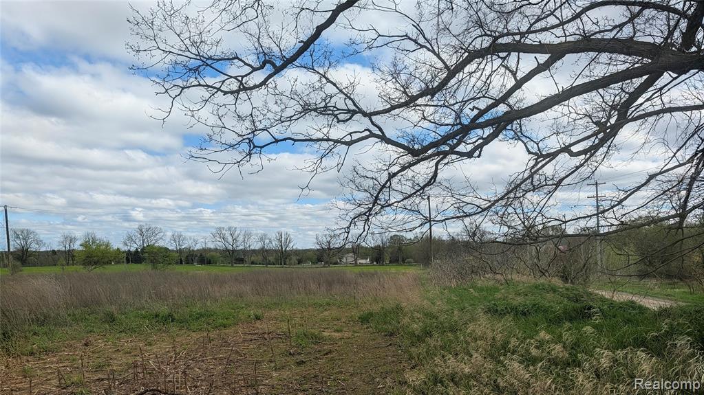 Parcel E Hogan Road, Linden, MI 48451 — Photo 20
