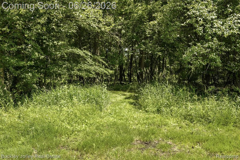 6132 Lange Road, Howell, MI 48843 — Photo 41