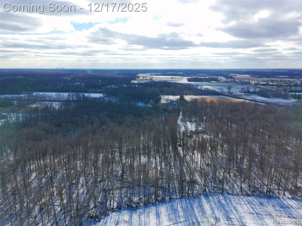 4870 W Samaria Road, Temperance, MI 48182 — Photo 21
